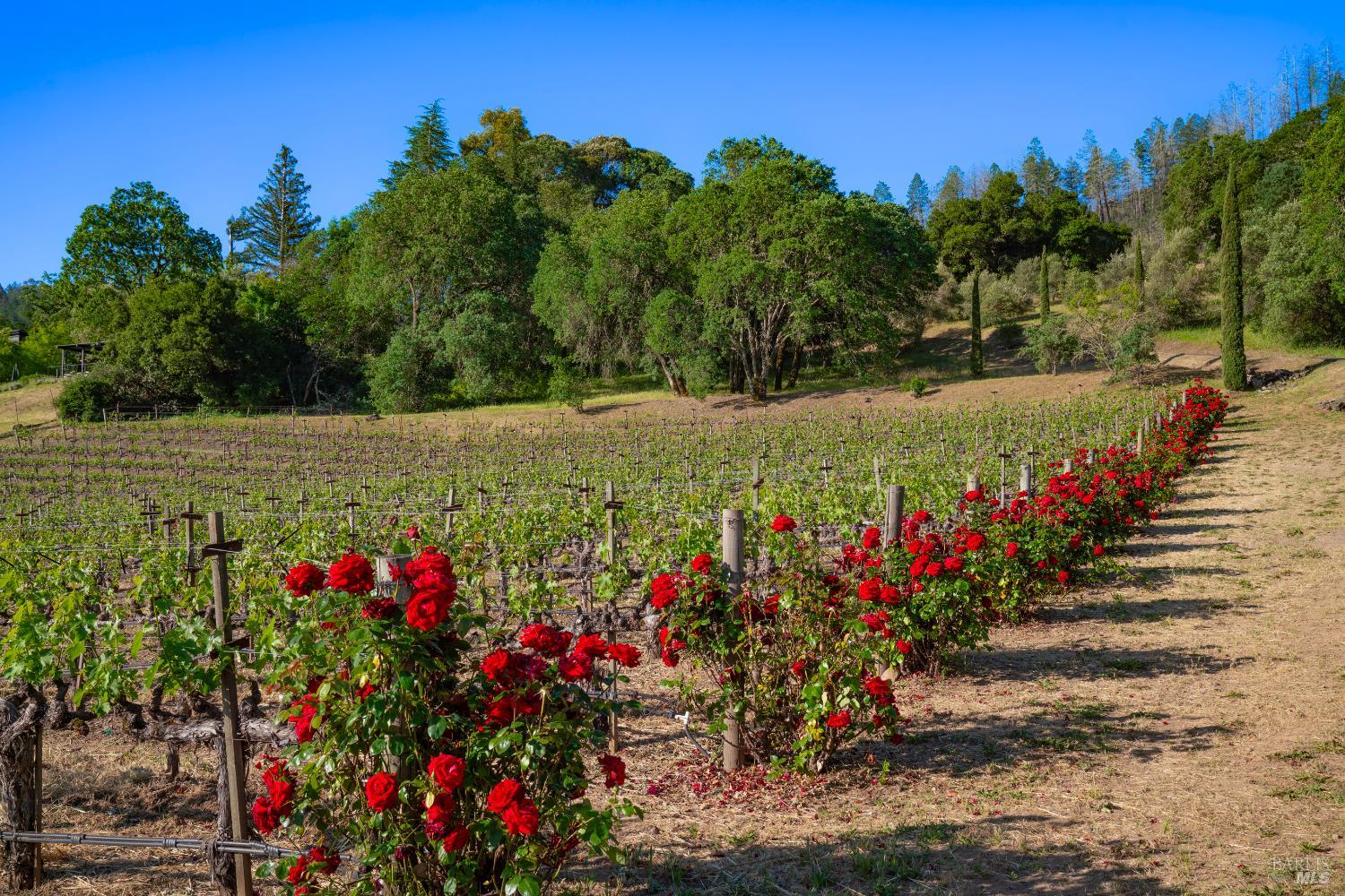 2893 Saint Helena Highway N St. Helena CA 94574