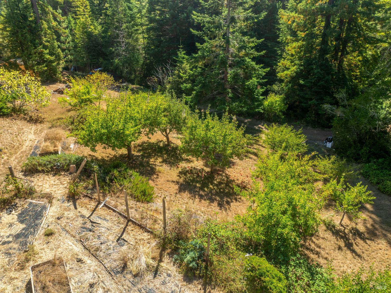 31026 Albion Ridge L Road Albion CA 95410