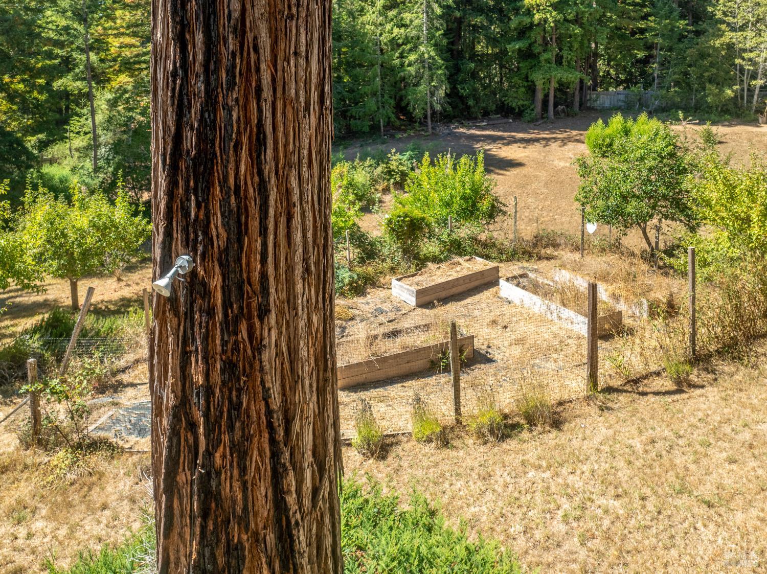 31026 Albion Ridge L Road Albion CA 95410