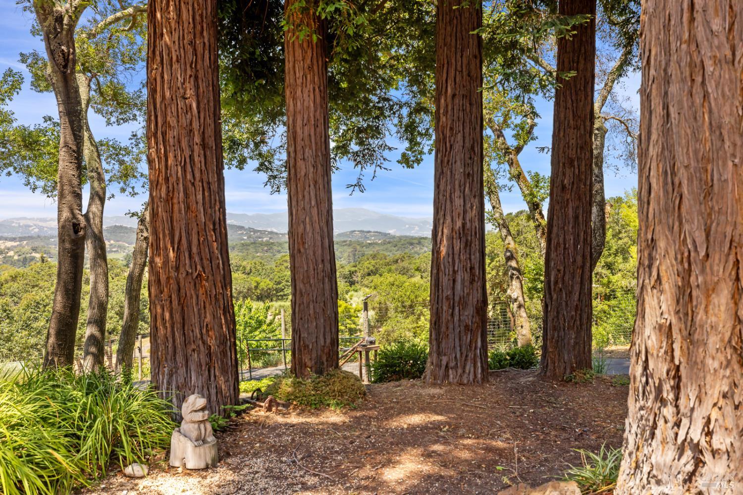 5370 Country Lane Napa CA 94558