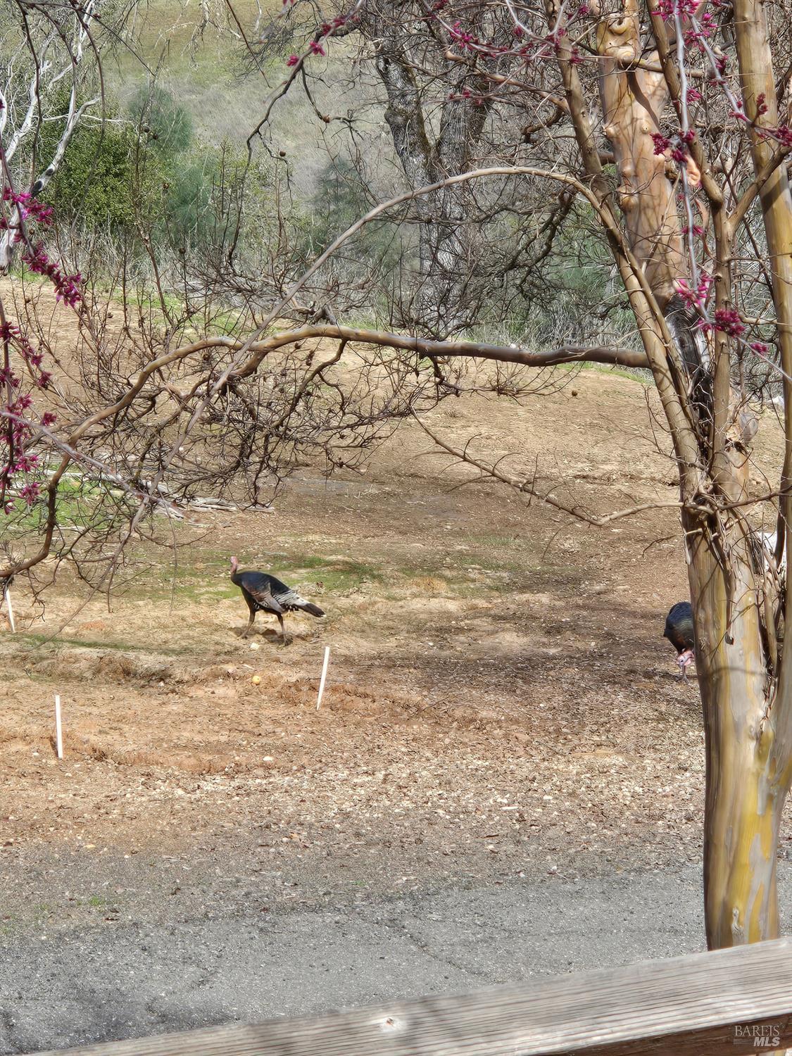18683 Morgan Valley Road Lower Lake CA 95457