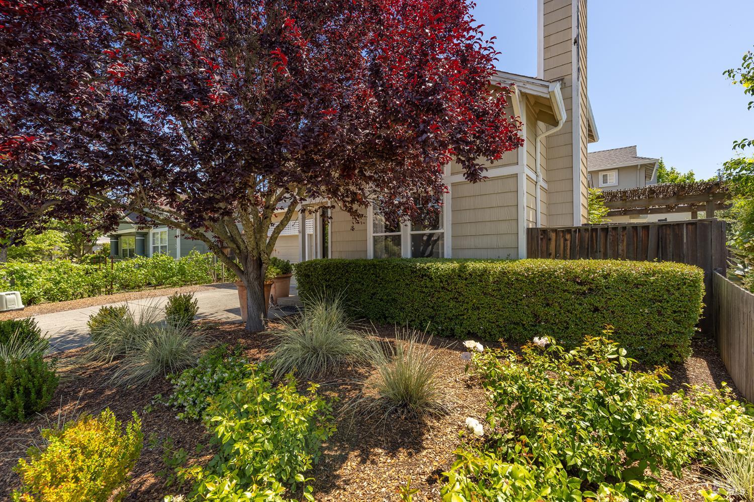 849 Signorelli Circle St. Helena CA 94574