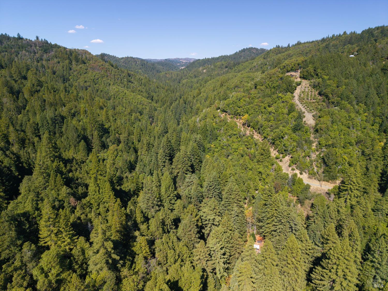 14542 Camino Del Arroyo Guerneville CA 95446