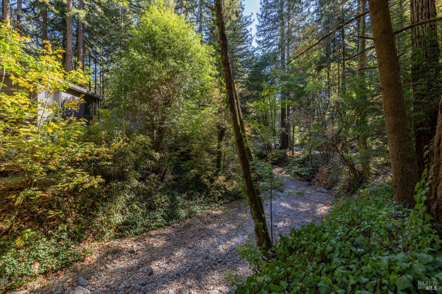 14542 Camino Del Arroyo Guerneville CA 95446