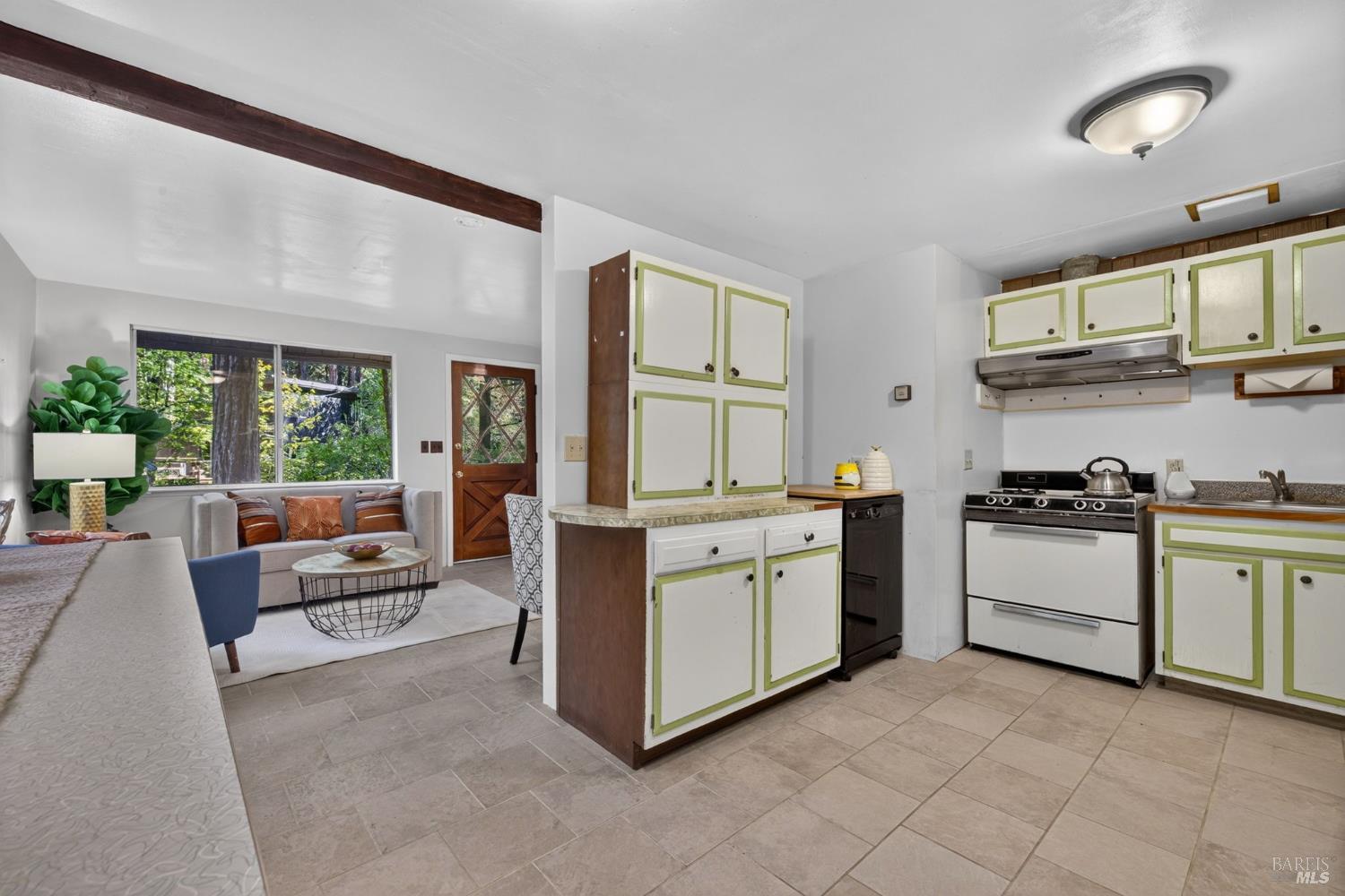 14542 Camino Del Arroyo Guerneville CA 95446