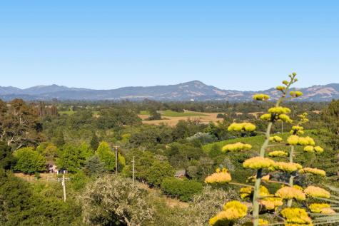 2563 Laguna Road Santa Rosa CA 95401