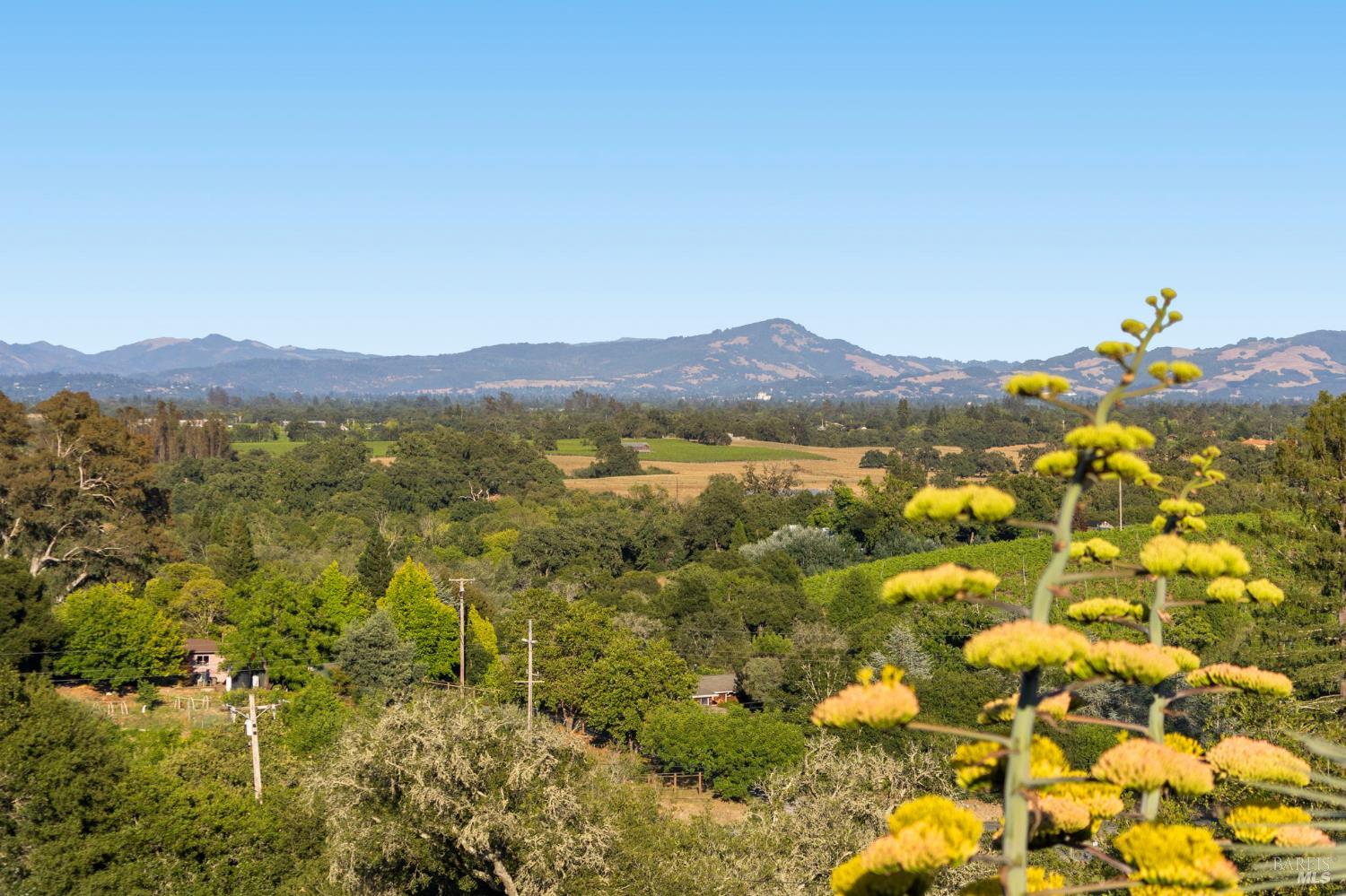2563 Laguna Road Santa Rosa CA 95401