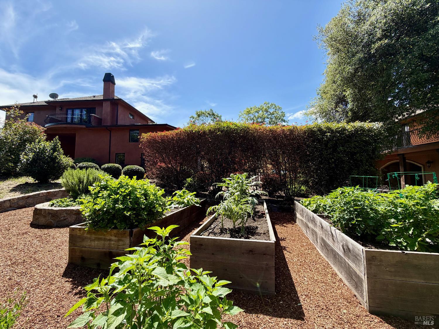 1312 Summit Drive Calistoga CA 94515