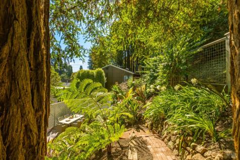 230 Miller Avenue Mill Valley CA 94941