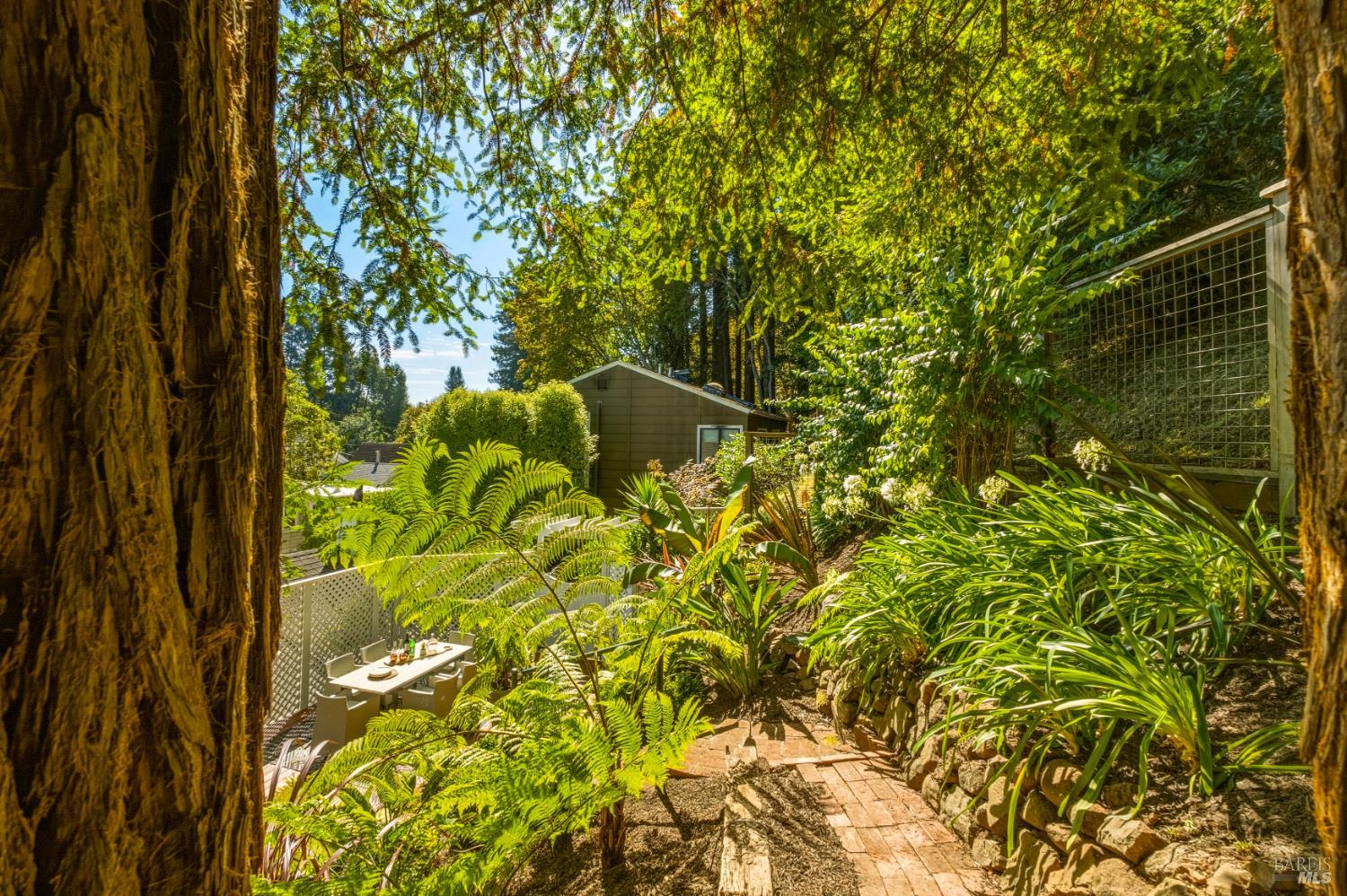 230 Miller Avenue Mill Valley CA 94941