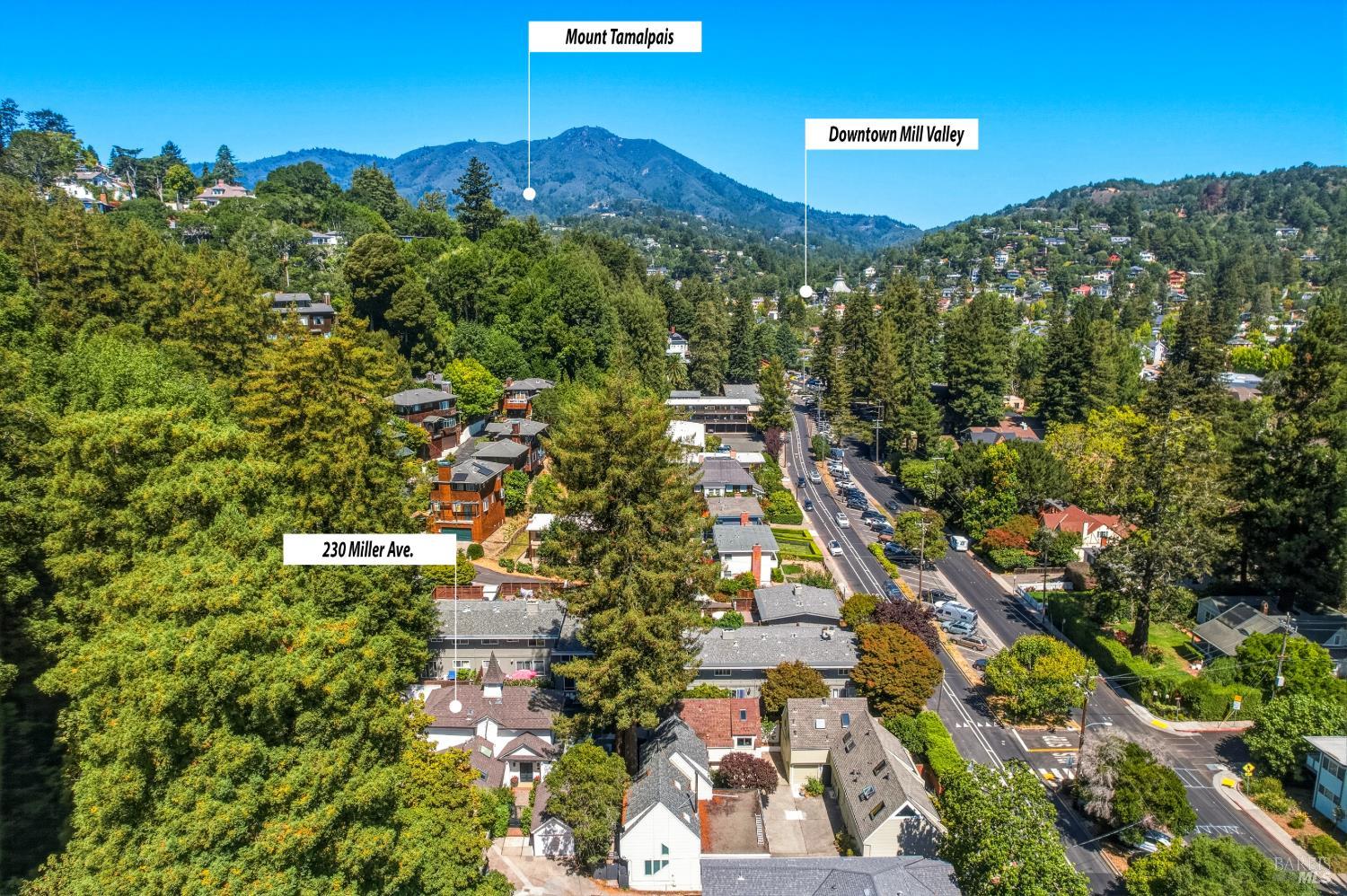 230 Miller Avenue Mill Valley CA 94941