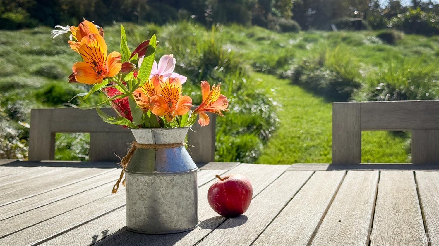 398 Ocean Parkway Bolinas CA 94924