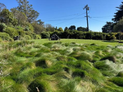 398 Ocean Parkway Bolinas CA 94924