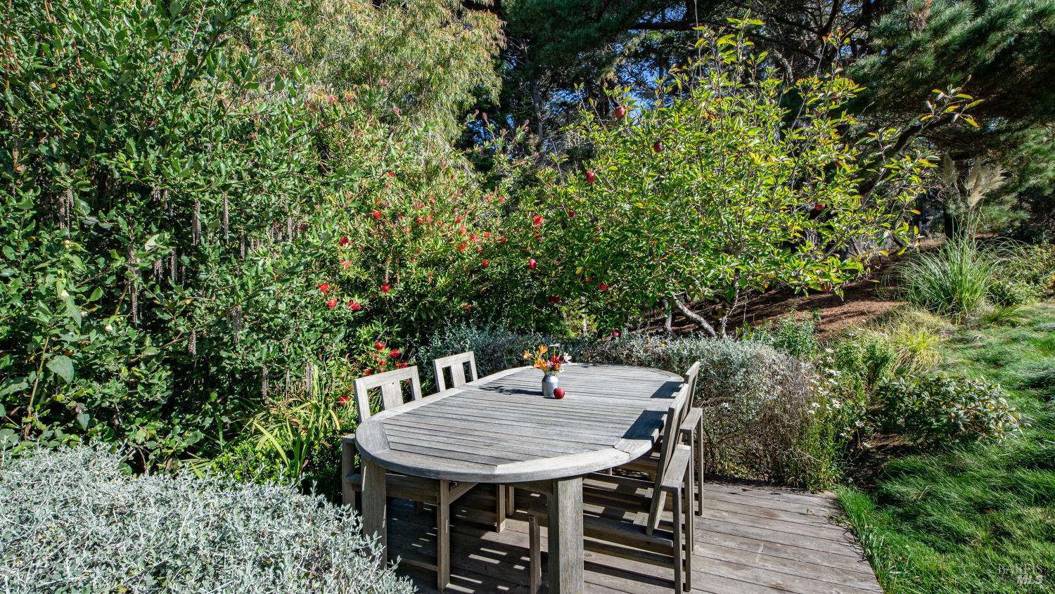 398 Ocean Parkway Bolinas CA 94924