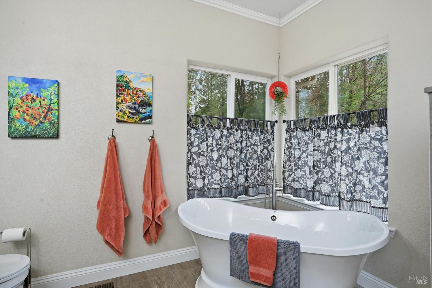 8863 Fox Drive Cobb CA 95426