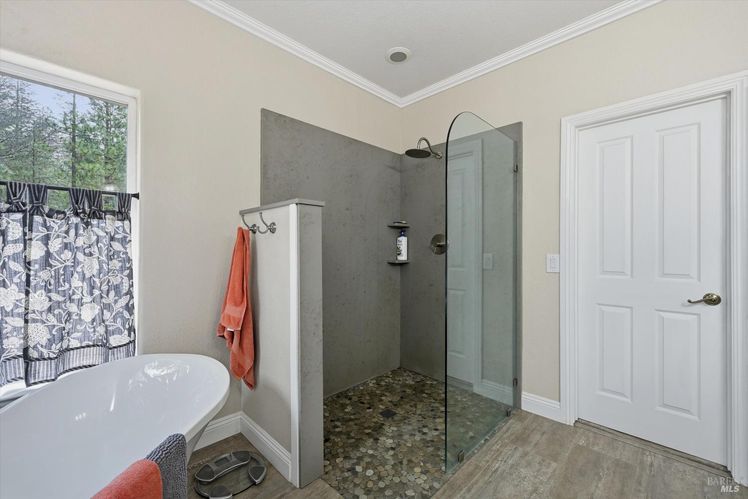8863 Fox Drive Cobb CA 95426