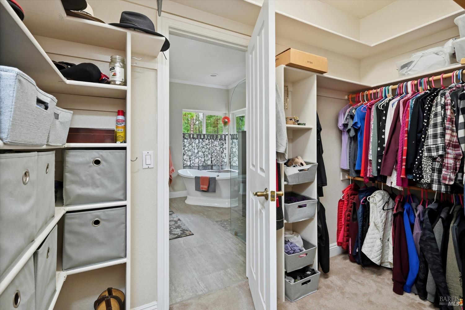 8863 Fox Drive Cobb CA 95426