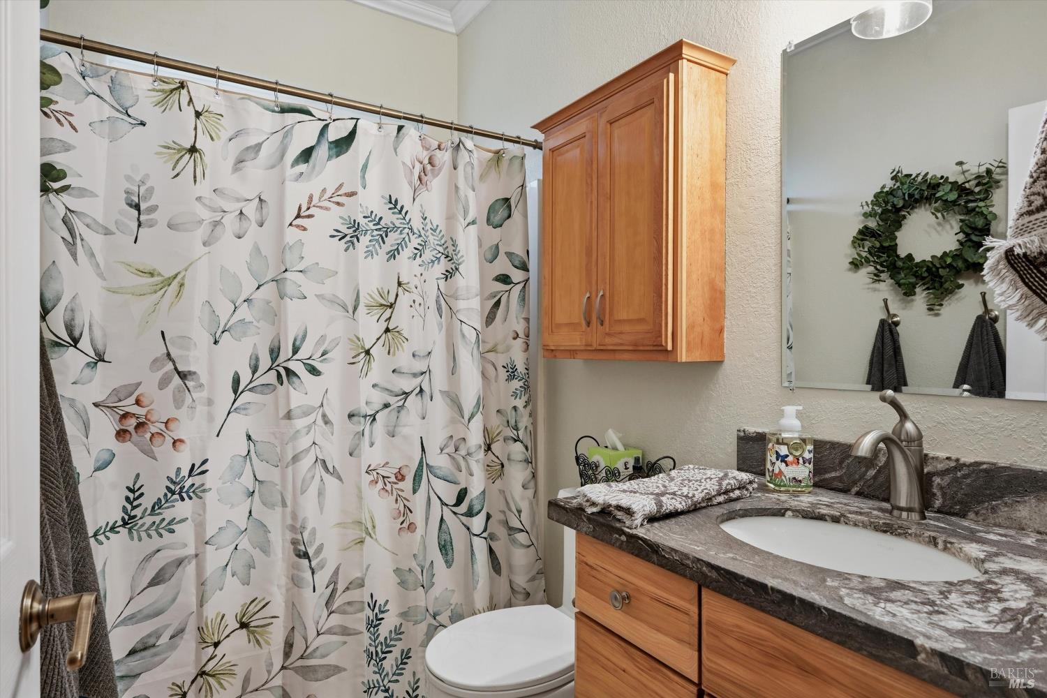 8863 Fox Drive Cobb CA 95426
