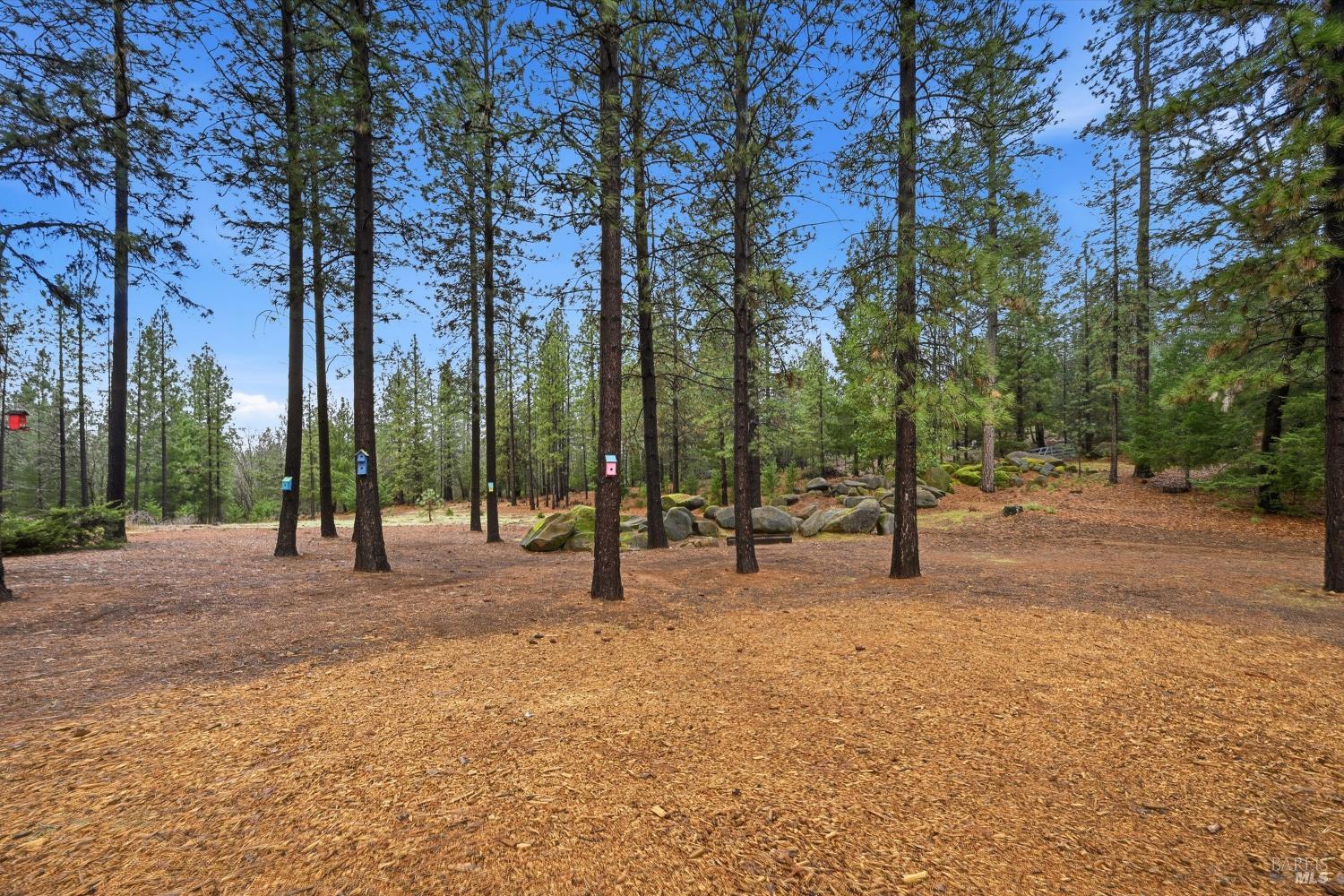 8863 Fox Drive Cobb CA 95426