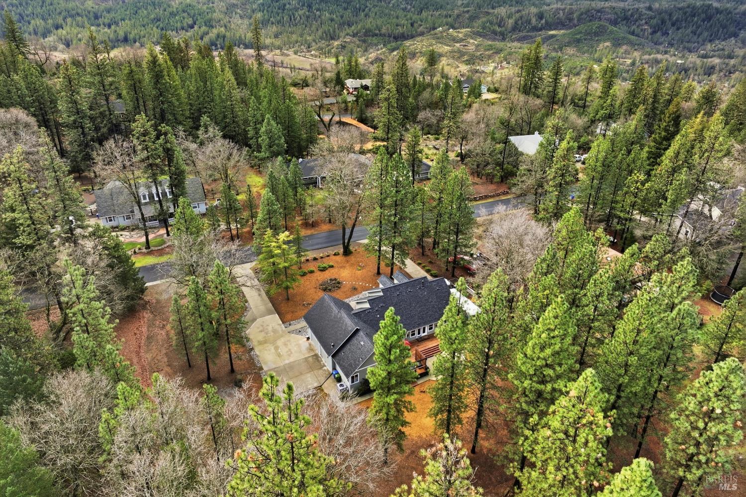 8863 Fox Drive Cobb CA 95426