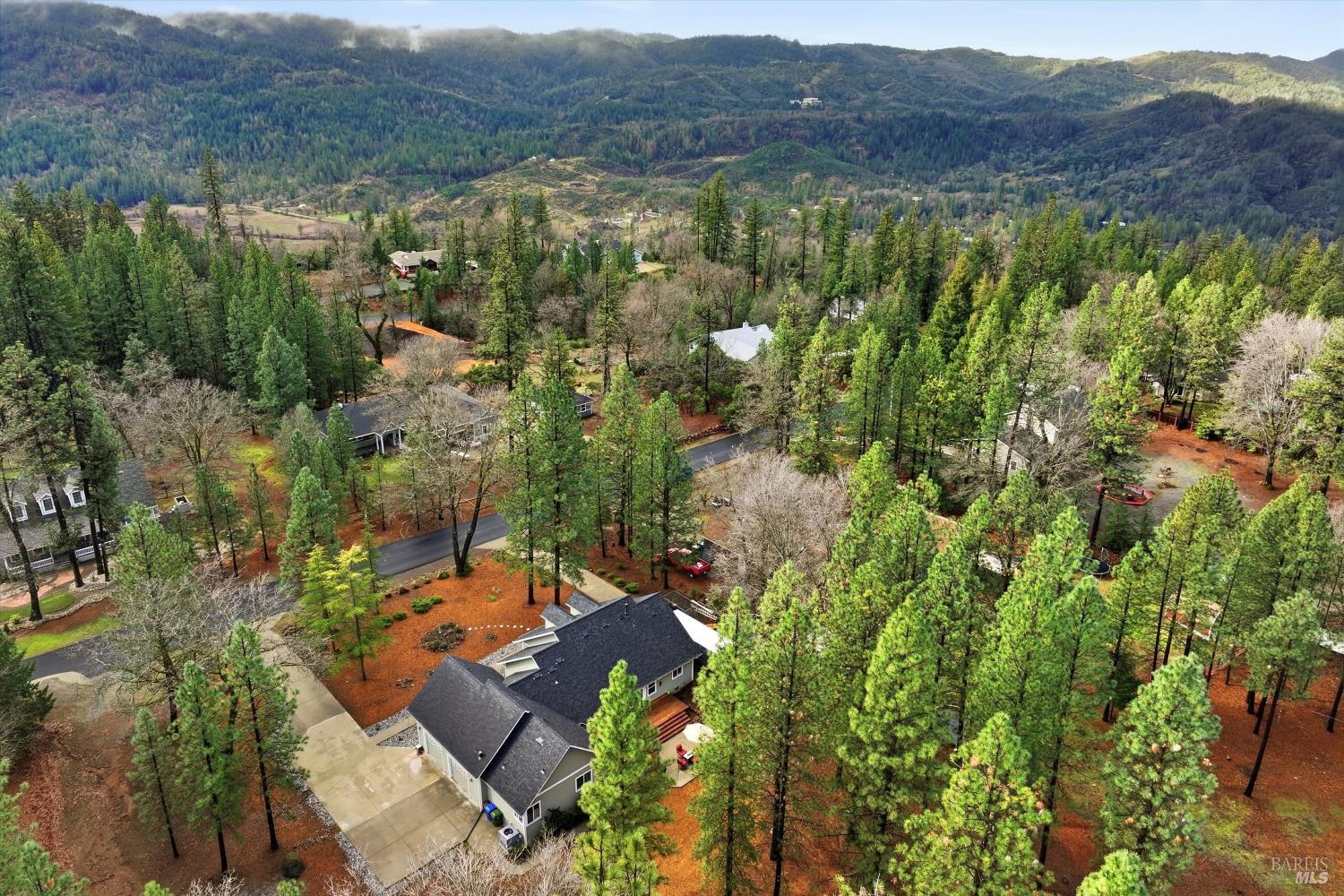 8863 Fox Drive Cobb CA 95426