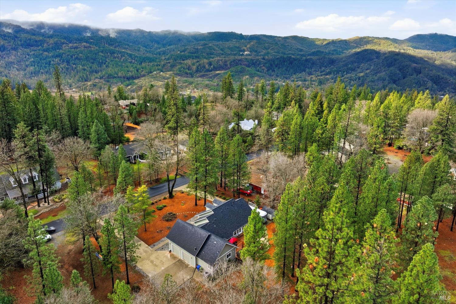 8863 Fox Drive Cobb CA 95426