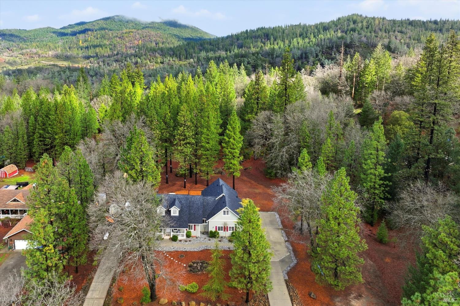 8863 Fox Drive Cobb CA 95426