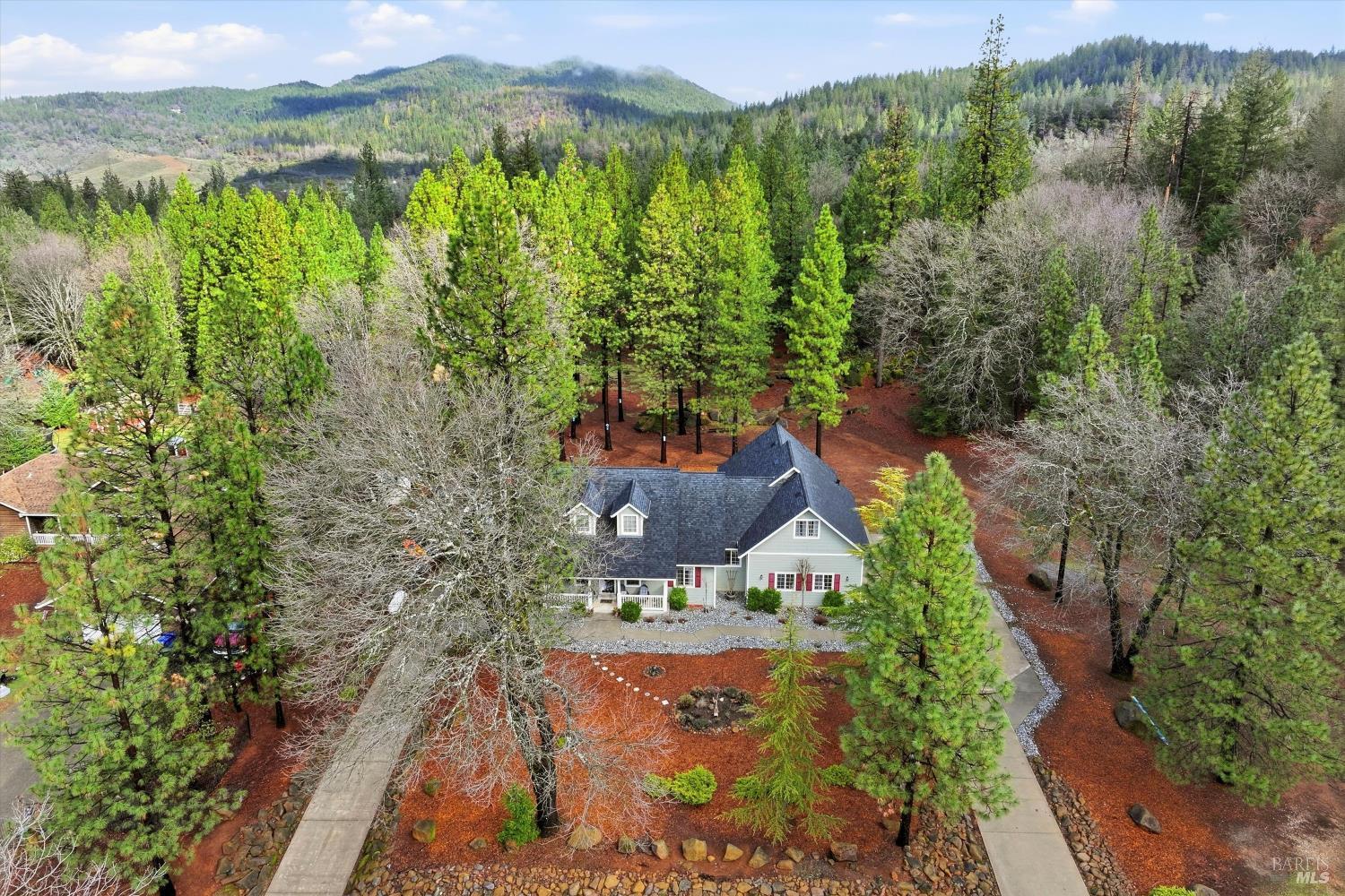 8863 Fox Drive Cobb CA 95426