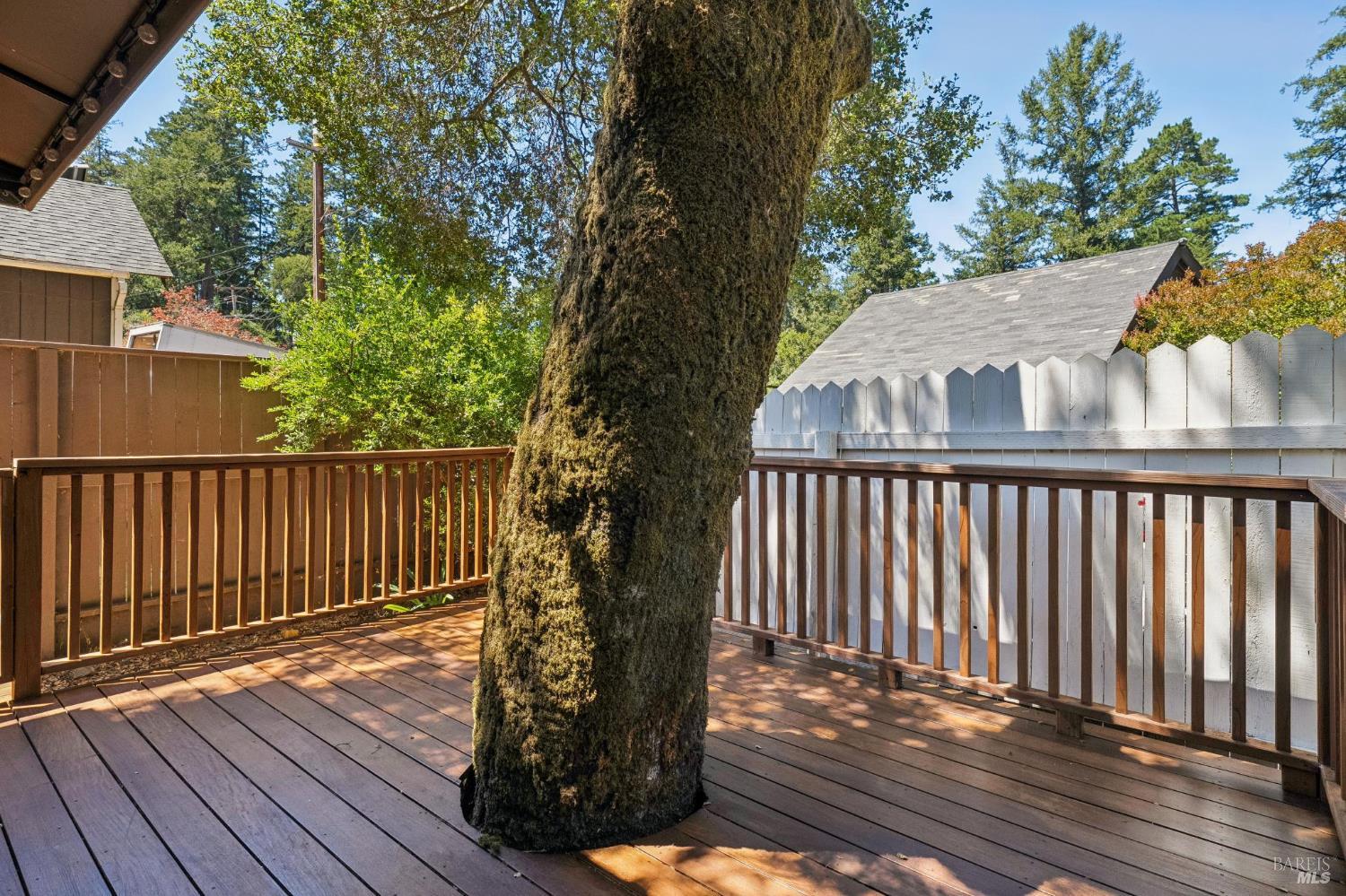 130 Forest Drive Forest Knolls CA 94933