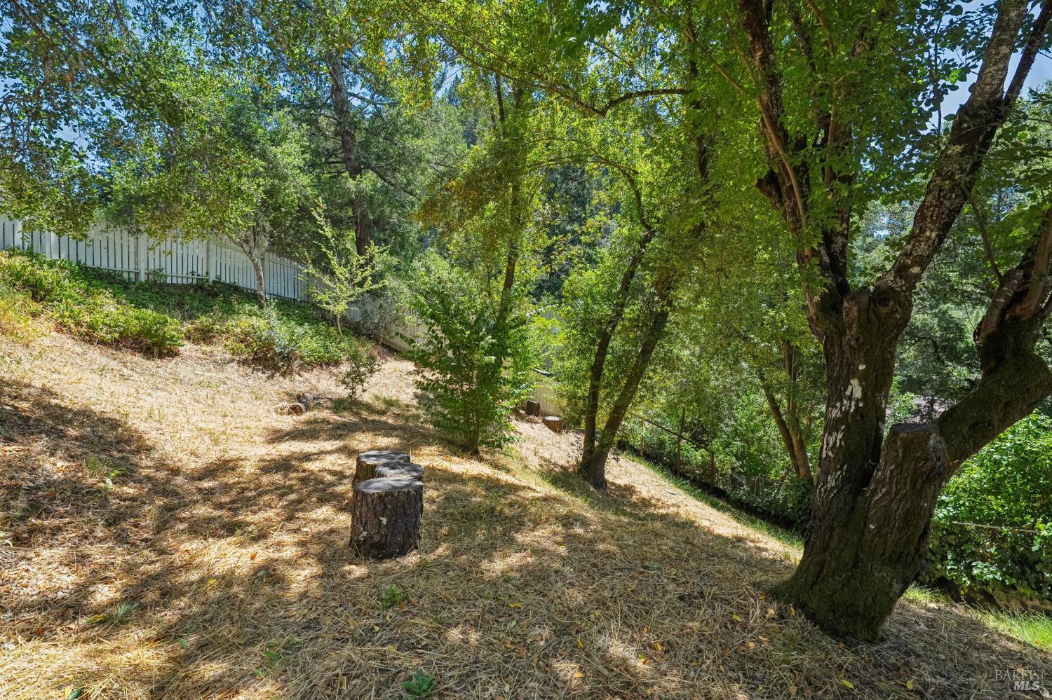 130 Forest Drive Forest Knolls CA 94933
