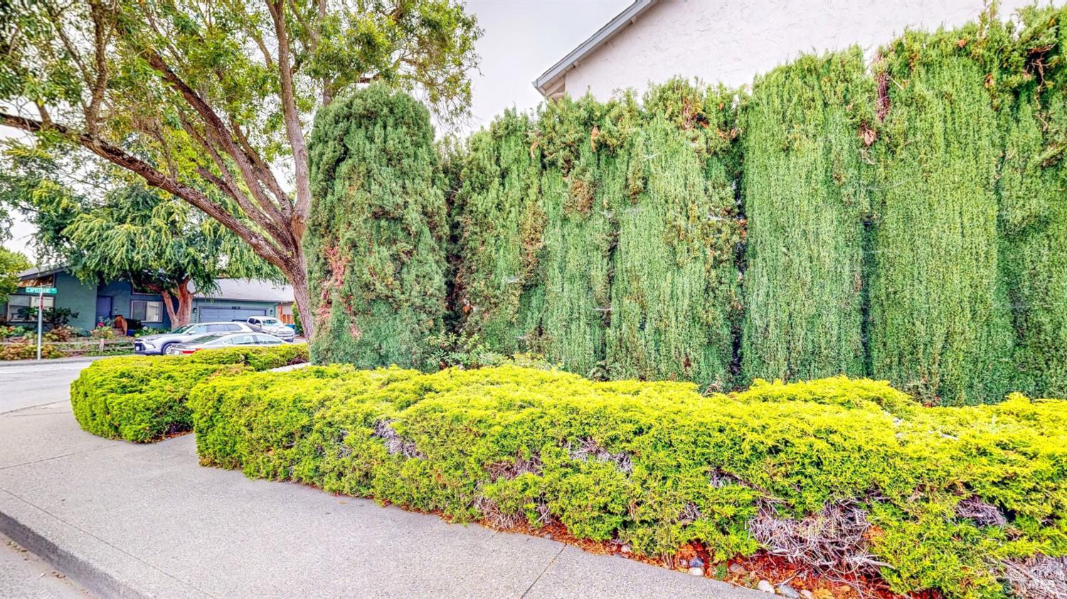 1702 Capistrano Drive Petaluma CA 94954
