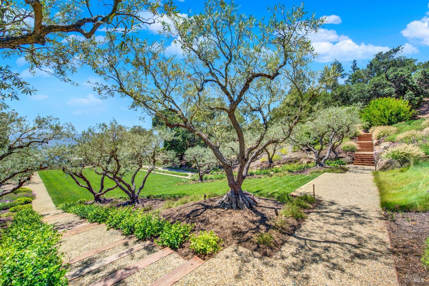 860 Meadowood Lane St. Helena CA 94574