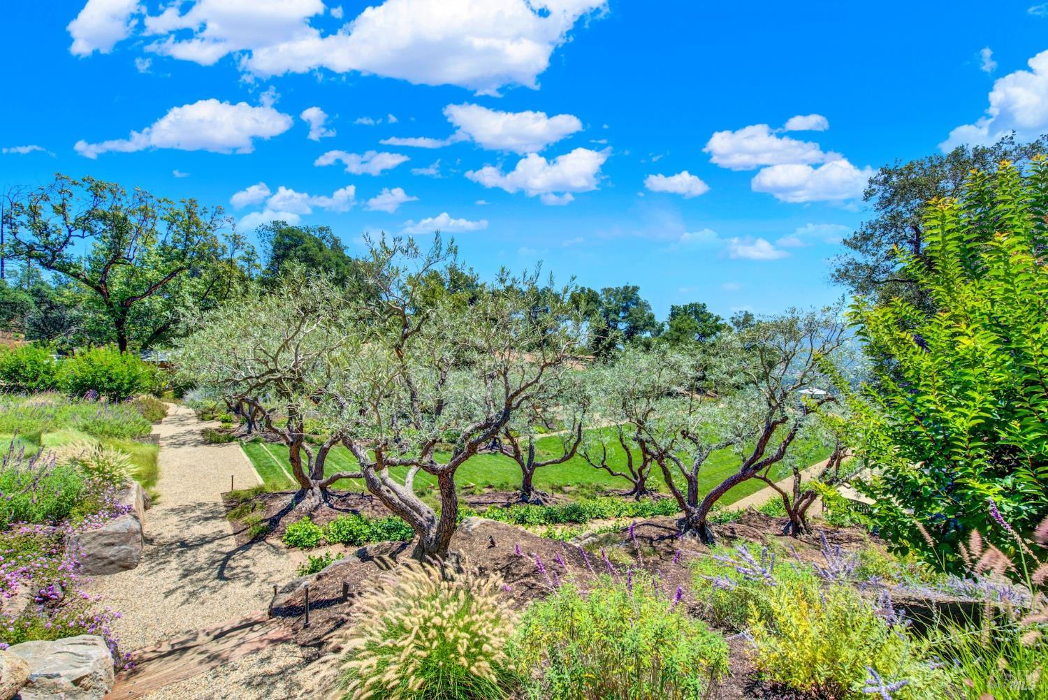 860 Meadowood Lane St. Helena CA 94574