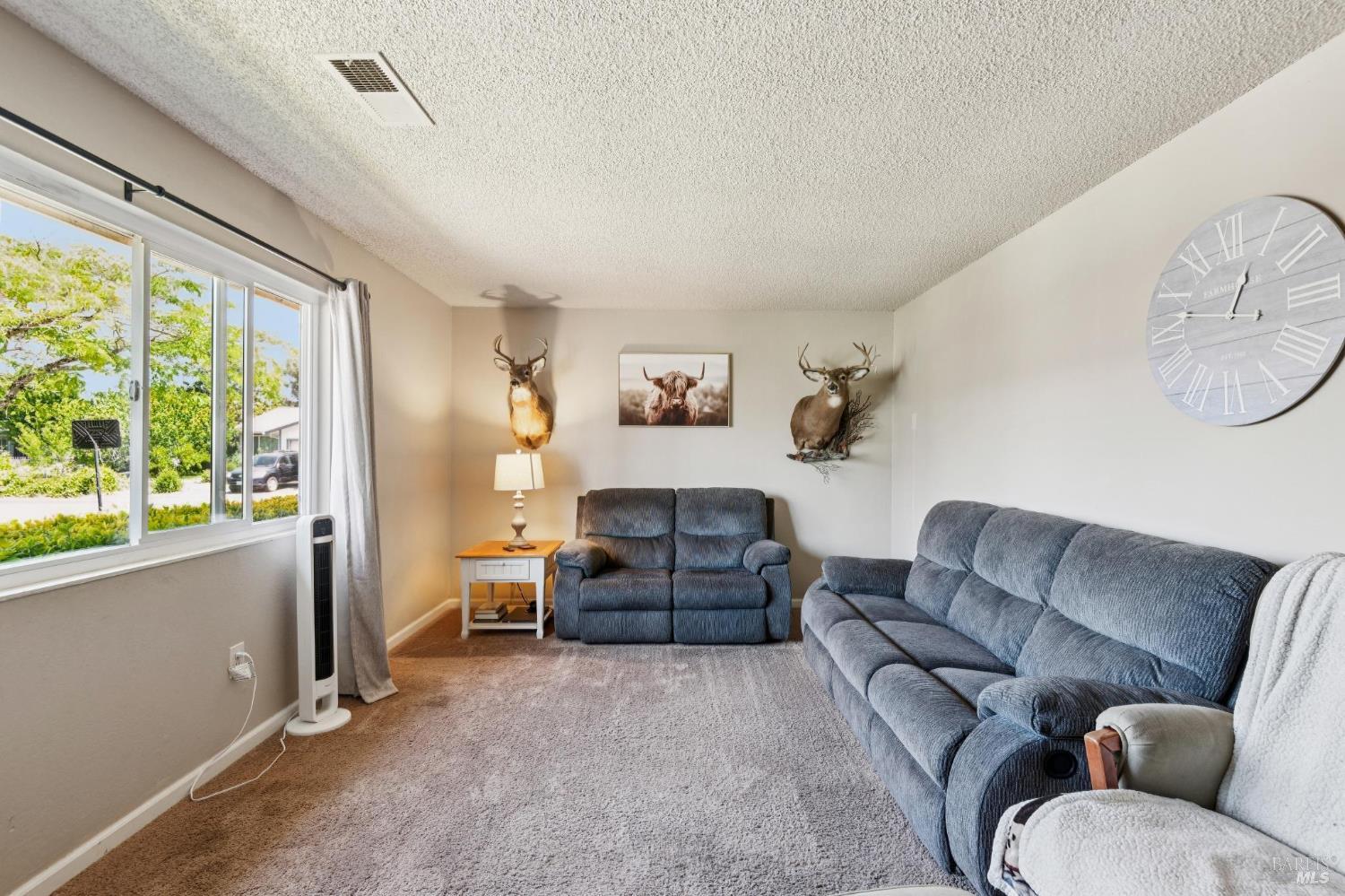 7293 Circle Drive Rohnert Park CA 94928