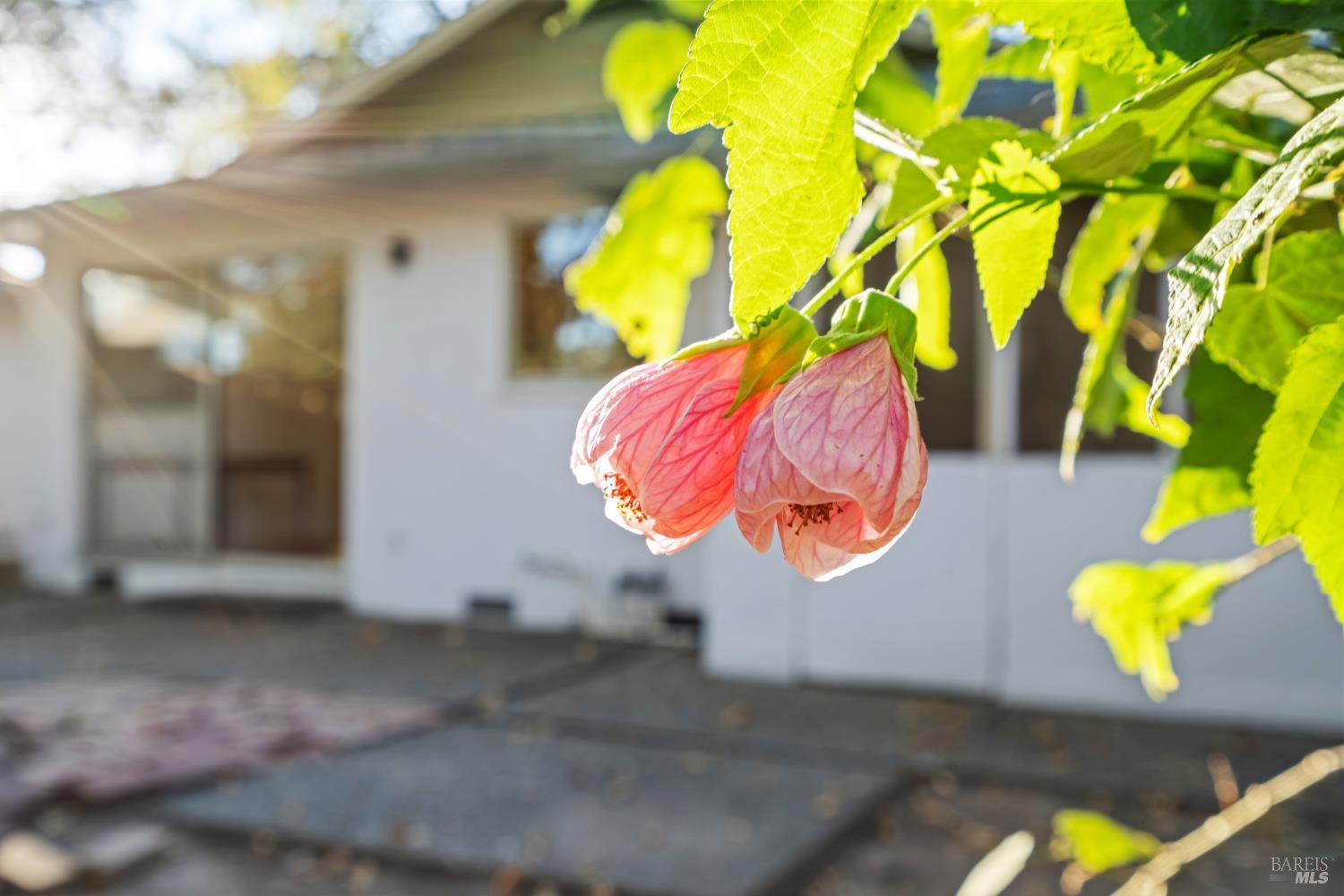 580 E Thomson Avenue Sonoma CA 95476