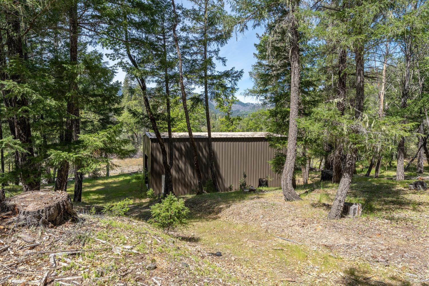 3269 Muir Lane Potter Valley CA 95469
