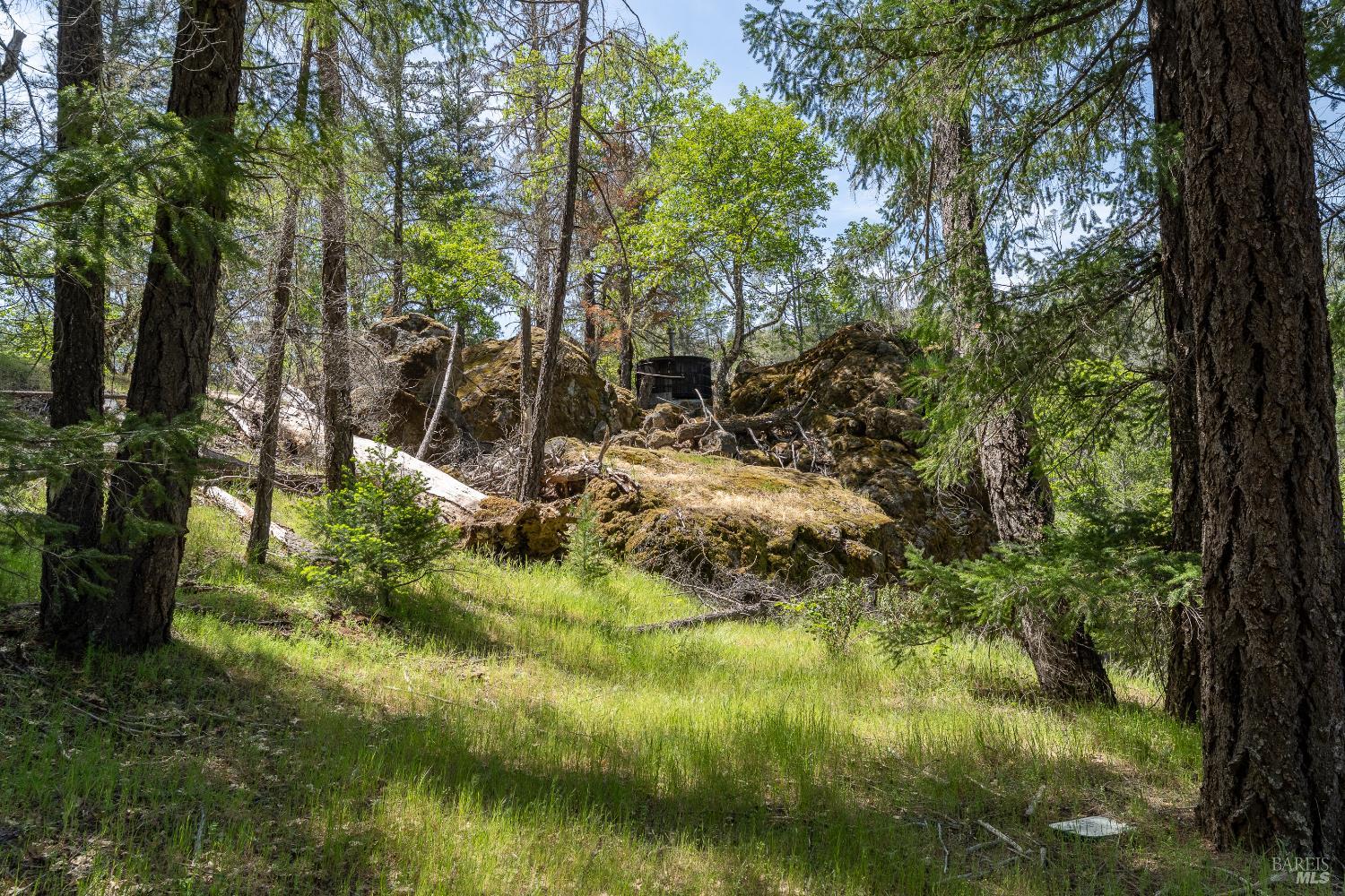 3269 Muir Lane Potter Valley CA 95469