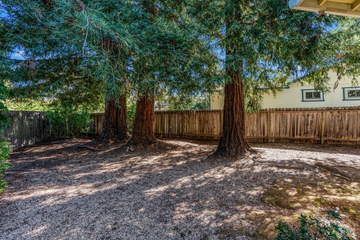 4903 Cheryl Court Santa Rosa CA 95409