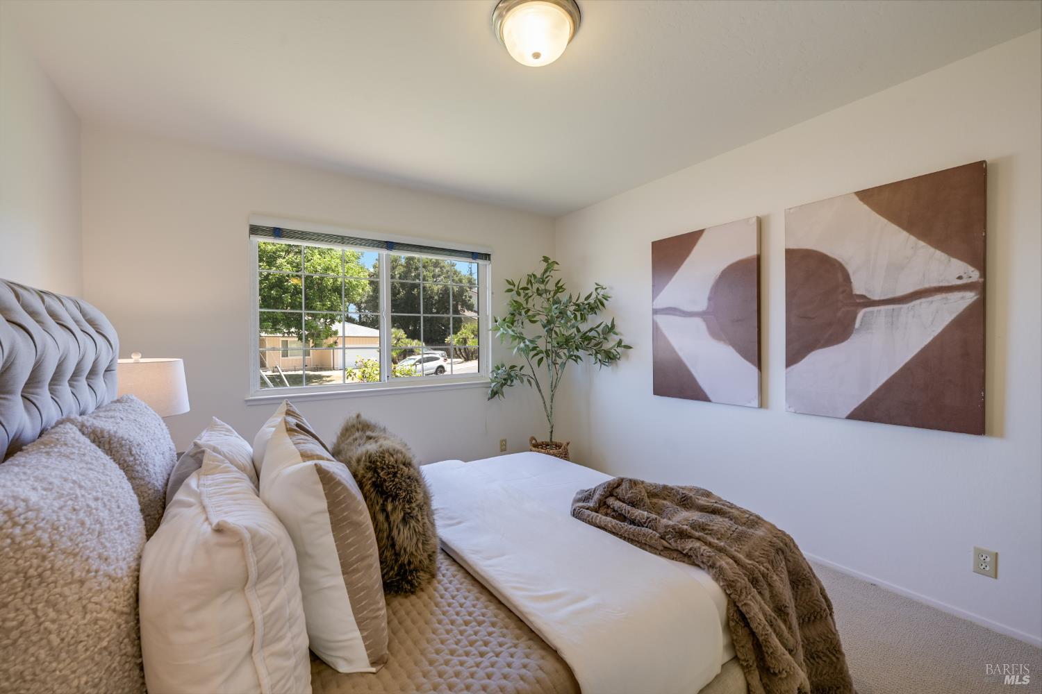 102 Adams Street Novato CA 94947