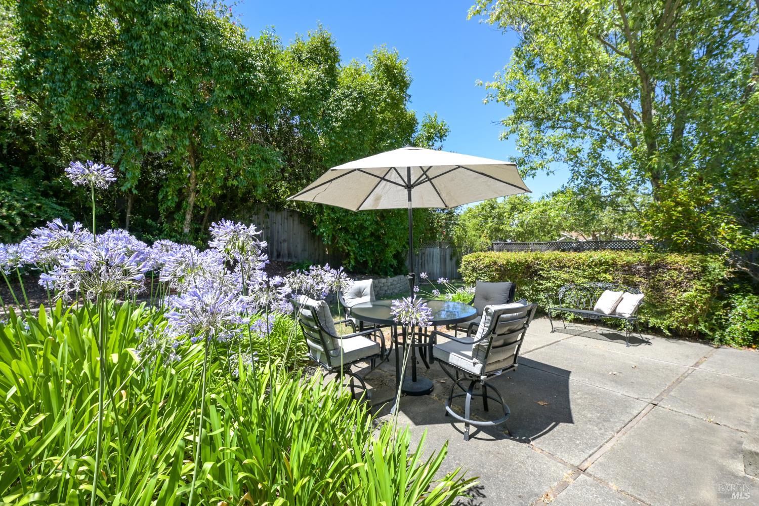 102 Adams Street Novato CA 94947