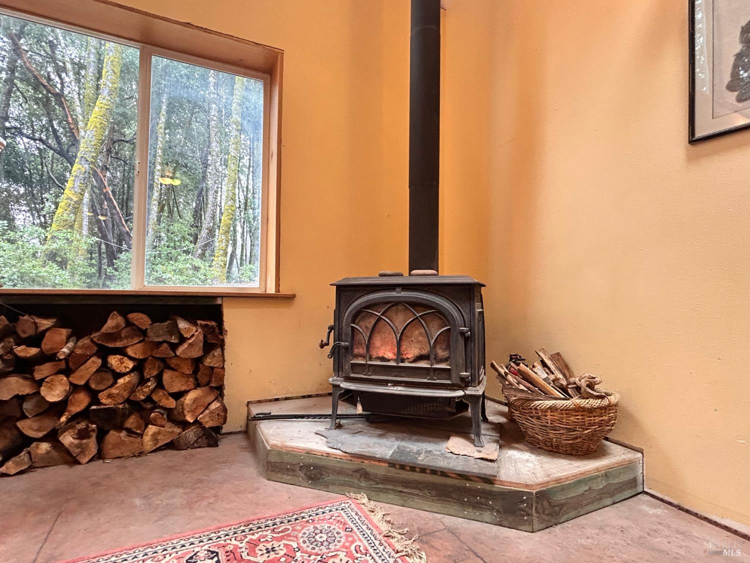 29281 Timberline Road Willits CA 95490
