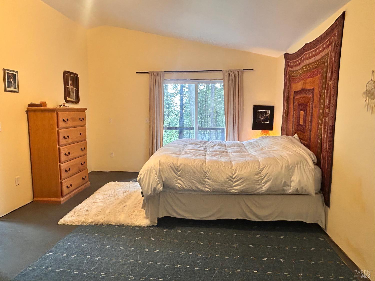 29281 Timberline Road Willits CA 95490