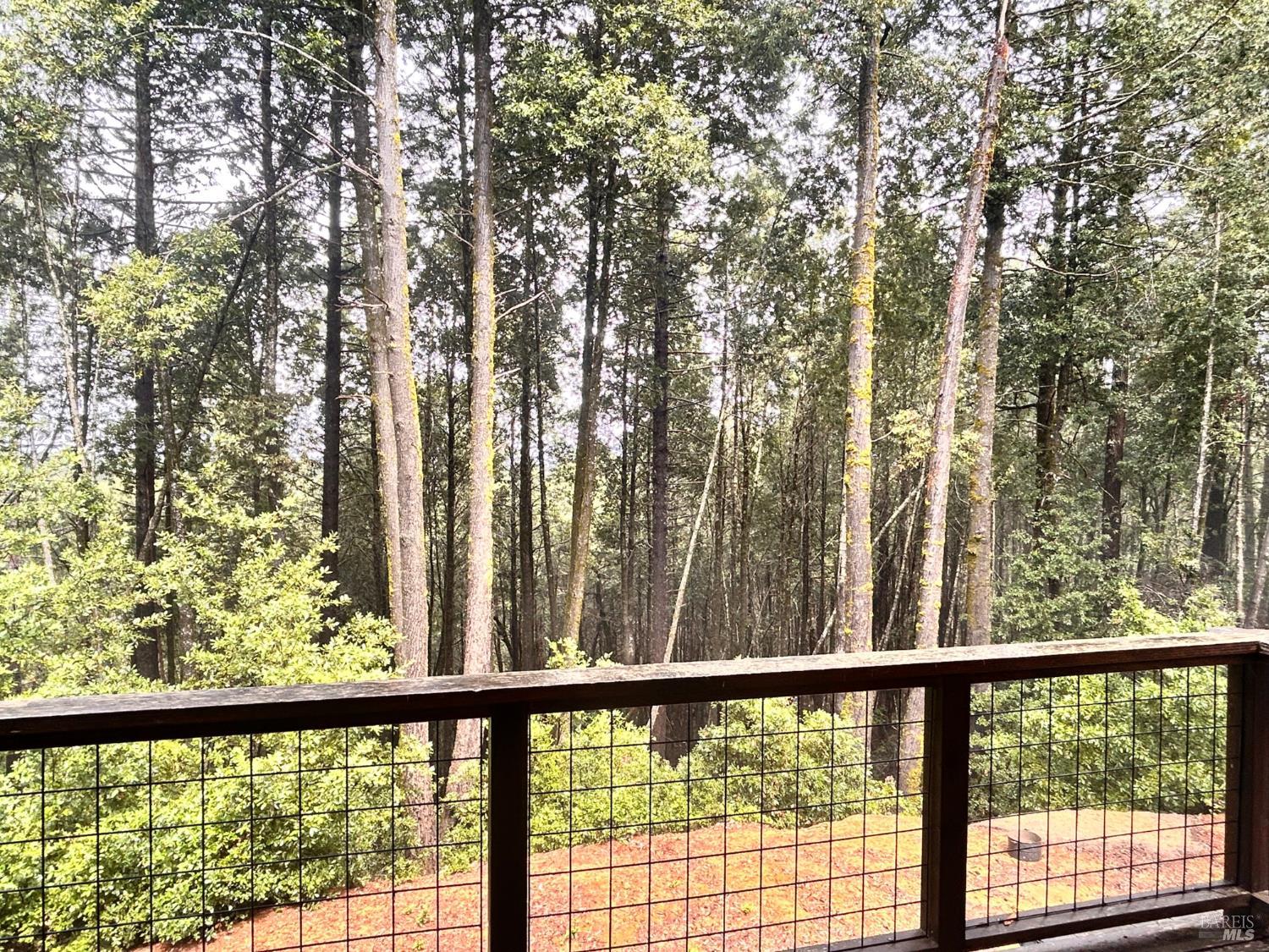 29281 Timberline Road Willits CA 95490