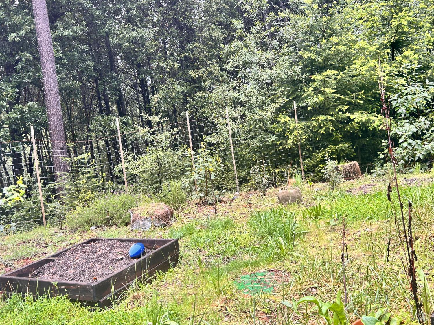 29281 Timberline Road Willits CA 95490