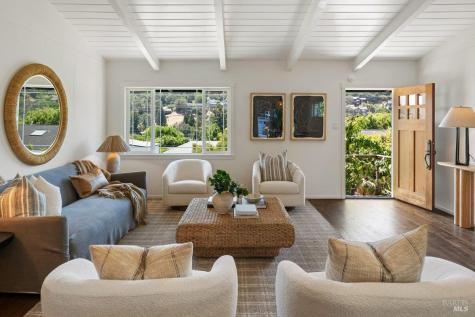 166 Alpine Street San Rafael CA 94901