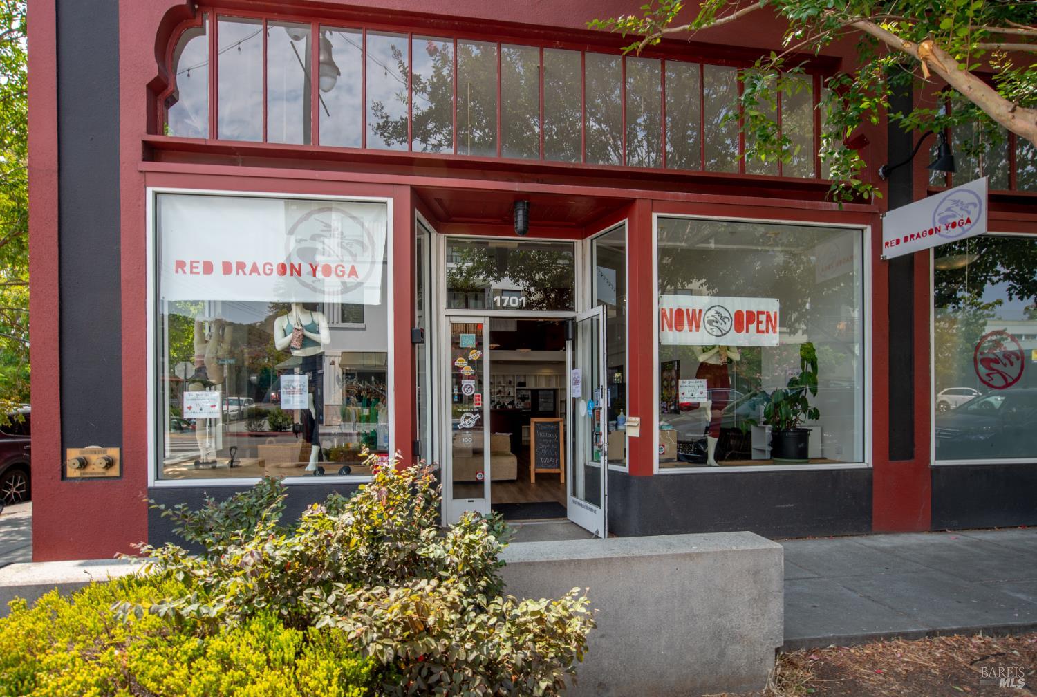 166 Alpine Street San Rafael CA 94901