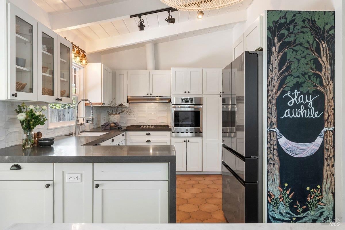 166 Alpine Street San Rafael CA 94901