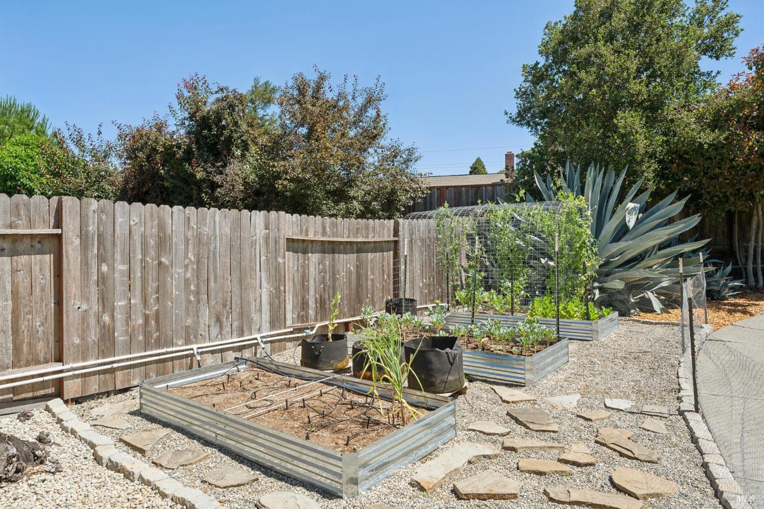 1724 Tampico Court Petaluma CA 94954