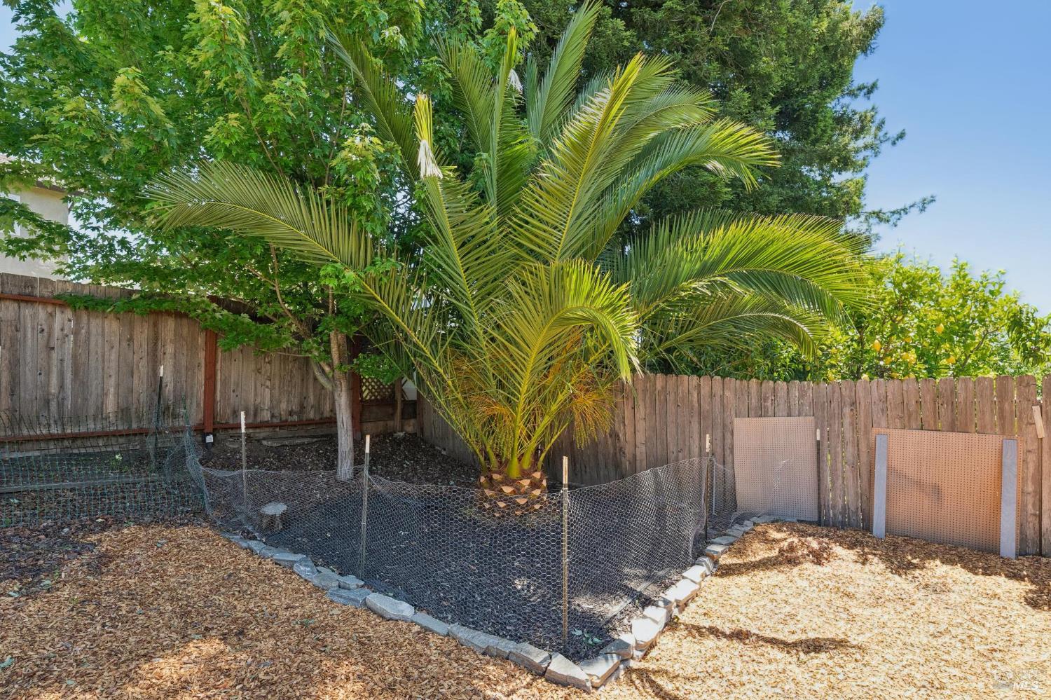 1724 Tampico Court Petaluma CA 94954