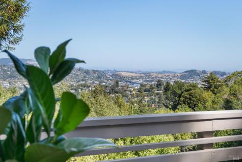 195 Marina Vista Avenue Larkspur CA 94939